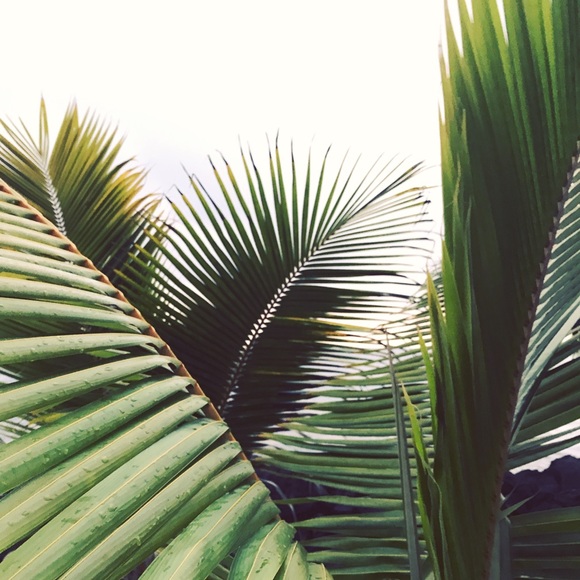 Meet your Posher, Emma - Picture 1 of 1